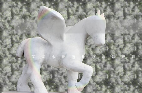 芜湖本地擅长办婚姻律师 芜湖本地擅长办婚姻律师