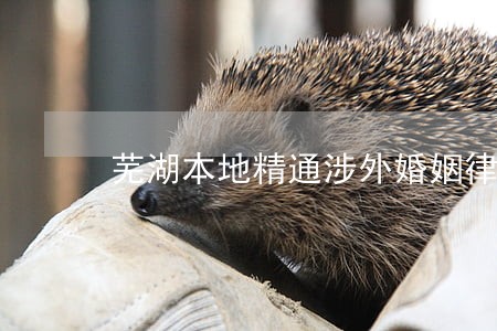 芜湖本地精通涉外婚姻律师 芜湖本地精通涉外婚姻律师