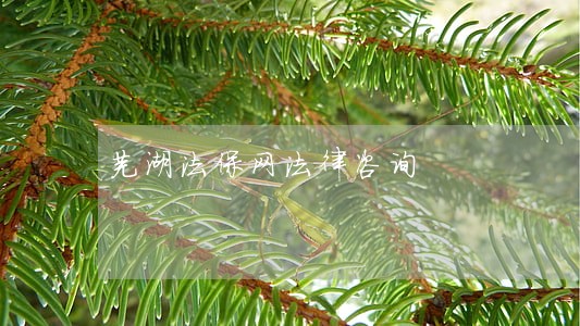 芜湖法保网法律咨询
