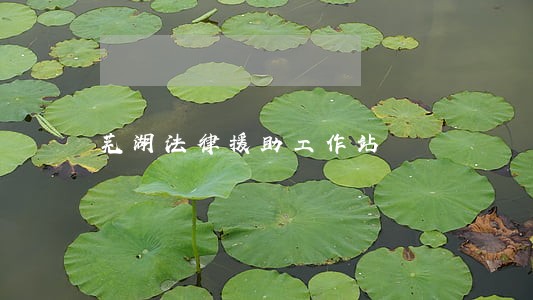 芜湖法律援助工作站 芜湖法律援助工作站