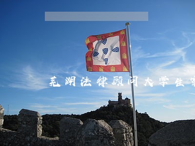 芜湖法律顾问大学生家教