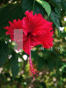 芜湖法院周卫华 芜湖法院周卫华