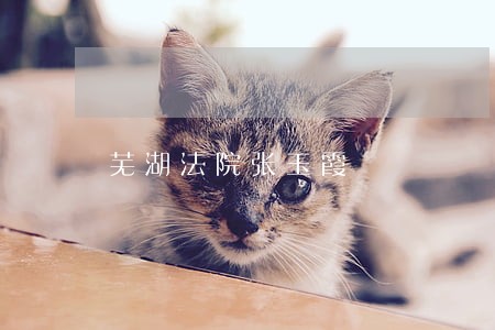 芜湖法院张玉霞