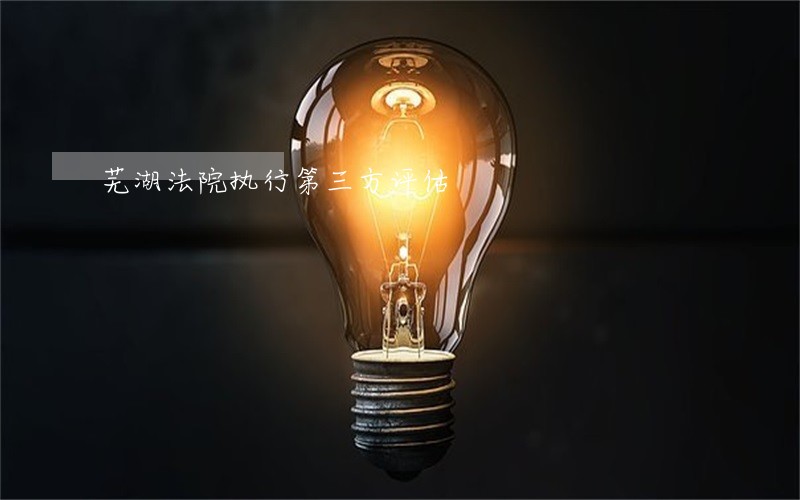 芜湖法院执行第三方评估