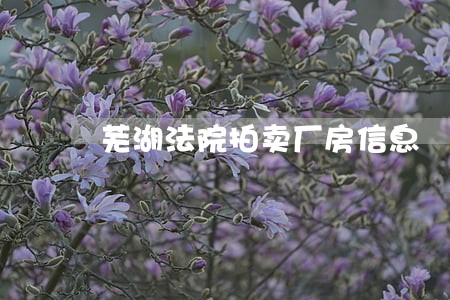 芜湖法院拍卖厂房信息 芜湖法院拍卖厂房信息
