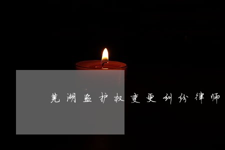 芜湖监护权变更纠纷律师咨询