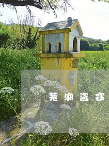 芜湖盗窃罪律师法律咨询 芜湖盗窃罪律师法律咨询
