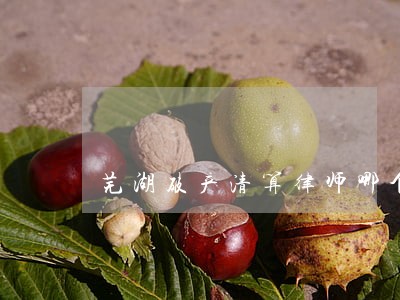 芜湖破产清算律师哪个专业 芜湖破产清算律师哪个专业