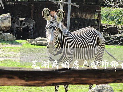 芜湖离婚房产律师哪位好