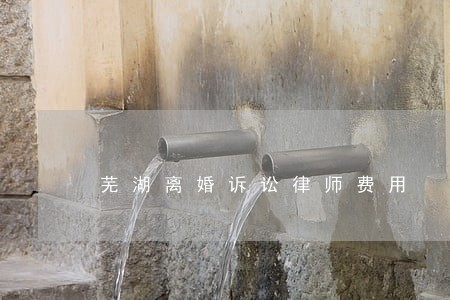 芜湖离婚诉讼律师费用