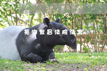 芜湖繁昌法院法官 芜湖繁昌法院法官