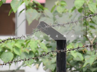 芜湖网贷逾期修复哪家好 芜湖网贷逾期修复哪家好