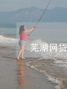 芜湖网贷逾期停息分期怎么协商 芜湖网贷逾期停息分期怎么协商
