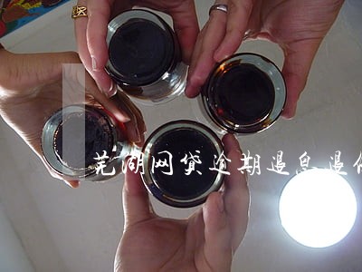 芜湖网贷逾期退息退保的方法技术 芜湖网贷逾期退息退保的方法技术