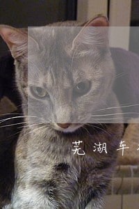 芜湖车祸律师费怎么收取 芜湖车祸律师费怎么收取