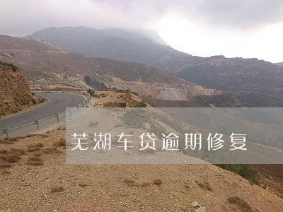 芜湖车贷逾期修复 芜湖车贷逾期修复