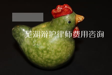 芜湖辩护律师费用咨询 芜湖辩护律师费用咨询
