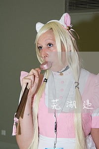 芜湖违法查询 芜湖违法查询