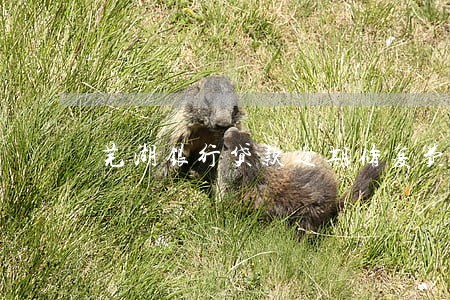 芜湖银行贷款逾期修复费用 芜湖银行贷款逾期修复费用