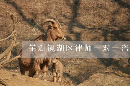 芜湖镜湖区律师一对一咨询