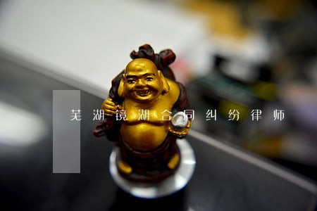 芜湖镜湖合同纠纷律师
