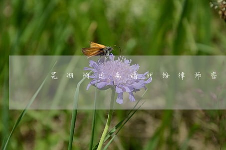 芜湖附近离婚纠纷律师咨询电话 芜湖附近离婚纠纷律师咨询电话