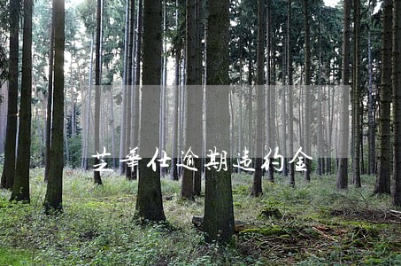 芝华仕逾期违约金 芝华仕逾期违约金