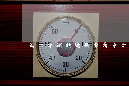 芝士分期的逾期费是多少 芝士分期的逾期费是多少