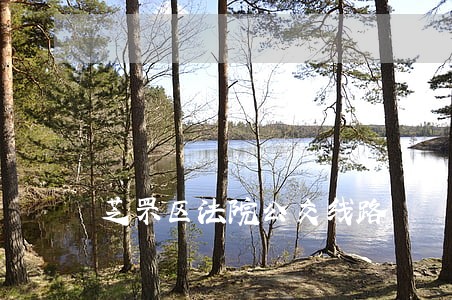 芝罘区法院公交线路 芝罘区法院公交线路