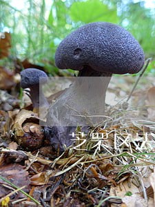 芝罘区法院开展法律讲堂活动 芝罘区法院开展法律讲堂活动