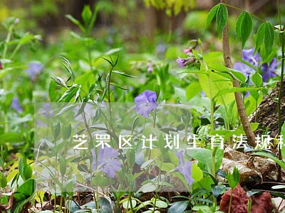 芝罘区计划生育法规科