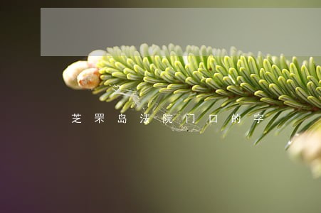 芝罘岛法院门口的字 芝罘岛法院门口的字