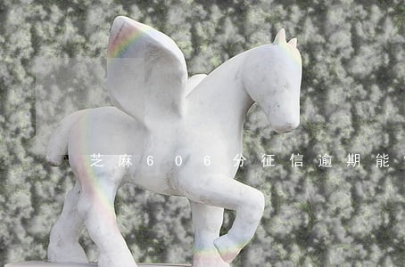 芝麻606分征信逾期能贷款吗 芝麻606分征信逾期能贷款吗