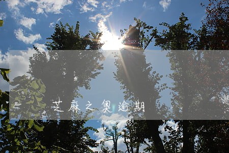 芝麻之奥逾期 芝麻之奥逾期