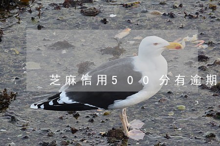 芝麻信用500分有逾期 芝麻信用500分有逾期