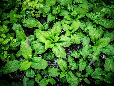 芝麻信用570逾期一天 芝麻信用570逾期一天