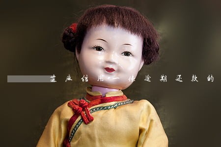 芝麻信用一条逾期还款的记录 芝麻信用一条逾期还款的记录