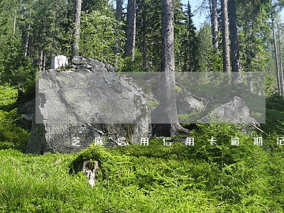 芝麻信用信用卡逾期记录 芝麻信用信用卡逾期记录