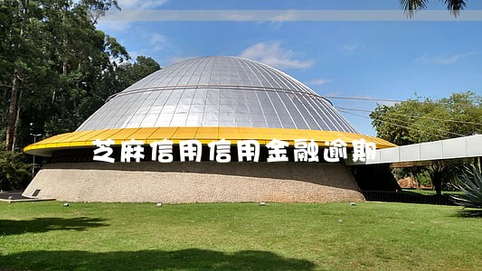 芝麻信用信用金融逾期 芝麻信用信用金融逾期