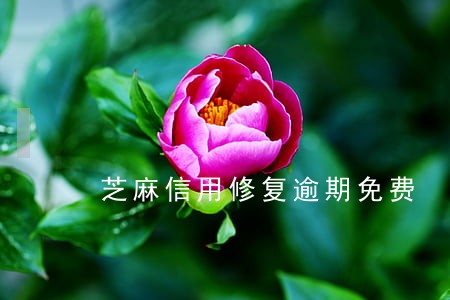 芝麻信用修复逾期免费 芝麻信用修复逾期免费