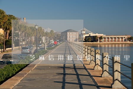 芝麻信用修复逾期在那里 芝麻信用修复逾期在那里