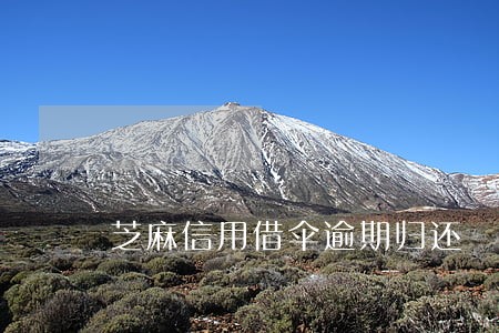芝麻信用借伞逾期归还 芝麻信用借伞逾期归还