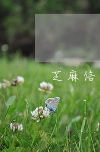 芝麻信用借呗逾期会怎么样