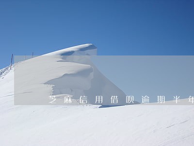 芝麻信用借呗逾期半年怎么办 芝麻信用借呗逾期半年怎么办