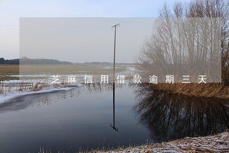 芝麻信用借款逾期三天