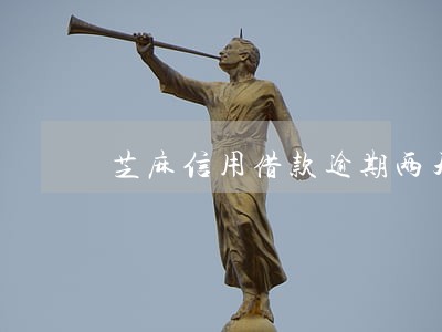芝麻信用借款逾期两天 芝麻信用借款逾期两天
