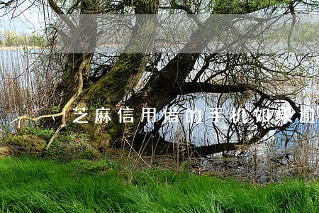 芝麻信用借的手机如果逾期没还 芝麻信用借的手机如果逾期没还