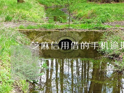 芝麻信用借的手机逾期归还 芝麻信用借的手机逾期归还