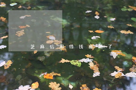 芝麻信用借钱逾期了 芝麻信用借钱逾期了
