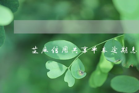 芝麻信用共享单车逾期怎么支付